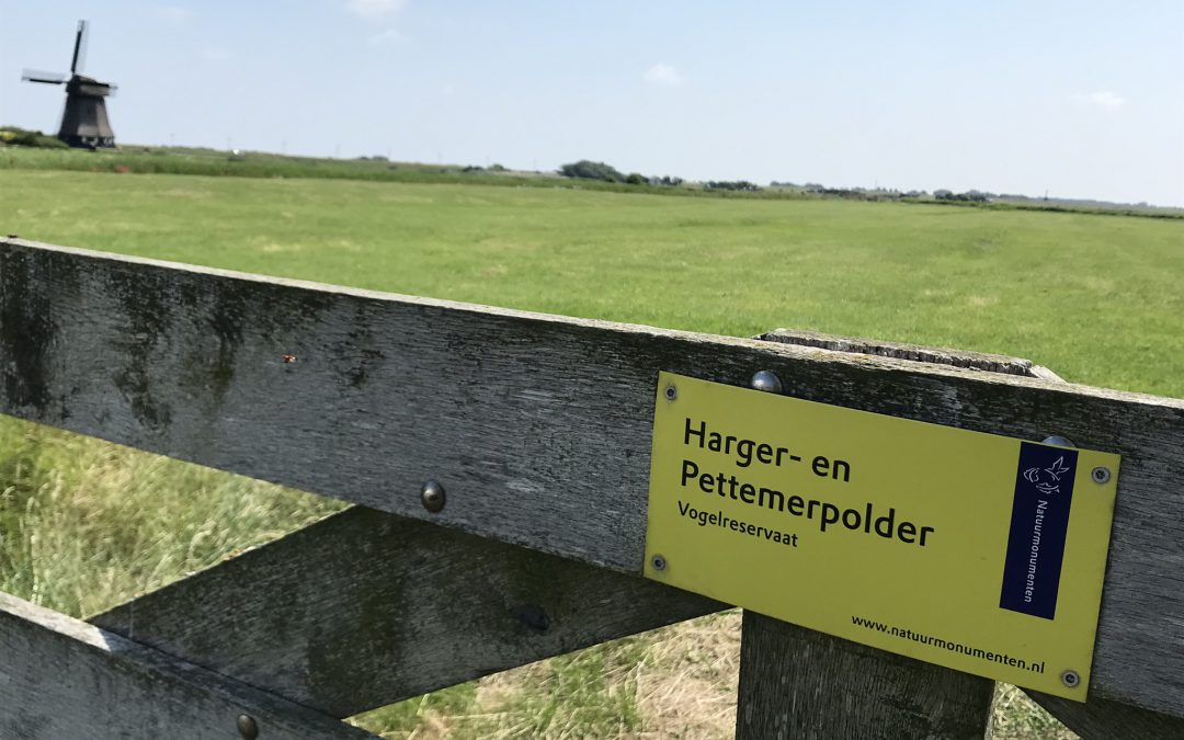 Je bent er nooit helemaal Rijp voor